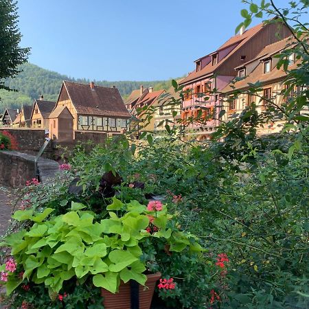 Studio Cosy Kaysersberg Centre Ngoại thất bức ảnh